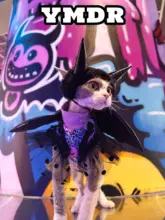 秋冬用デザイン猫服【ハロウィン・デビルの角と羽付き・無毛タイプ】
