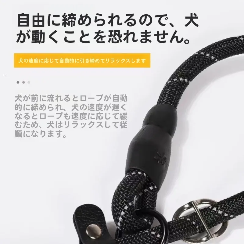 犬のお散歩グッズをコスパ良く揃える方法｜多機能リードでシーン別に活用する完全ガイド