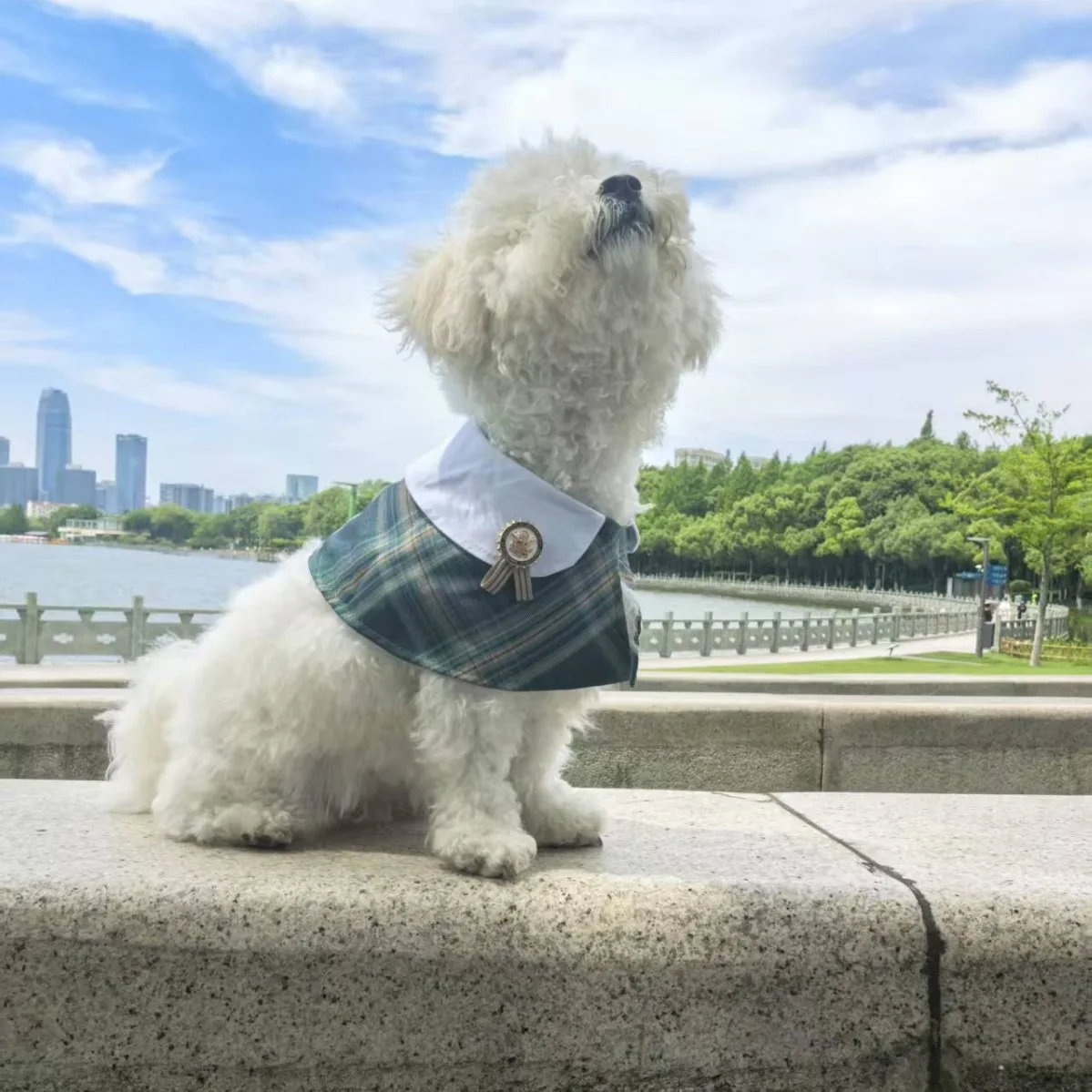 調整可能なペット用お手拭きカラー【チェック柄・マジックテープ・犬猫兼用】とは？