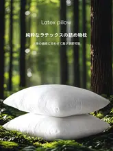 タイ製 天然ラテックス入りクッション【ソファ用・腰あて・寝室用】