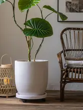 大口径のラウンド花盆【トレー付き・マグネシウム泥製・観葉植物用】