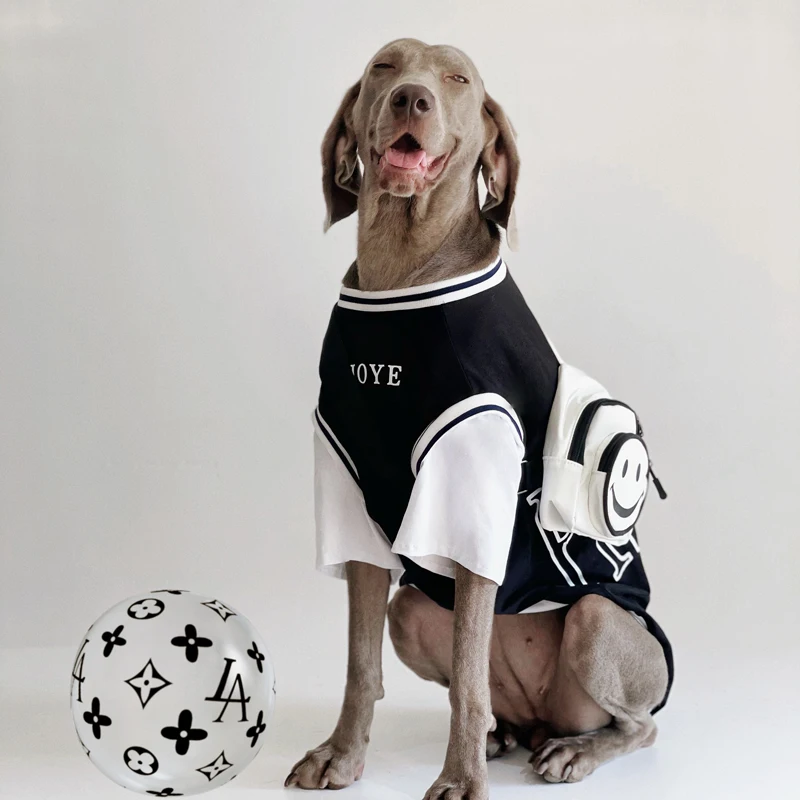 大型犬用夏用ペットウェア：薄手ドッグTシャツで暑さ対策を実現