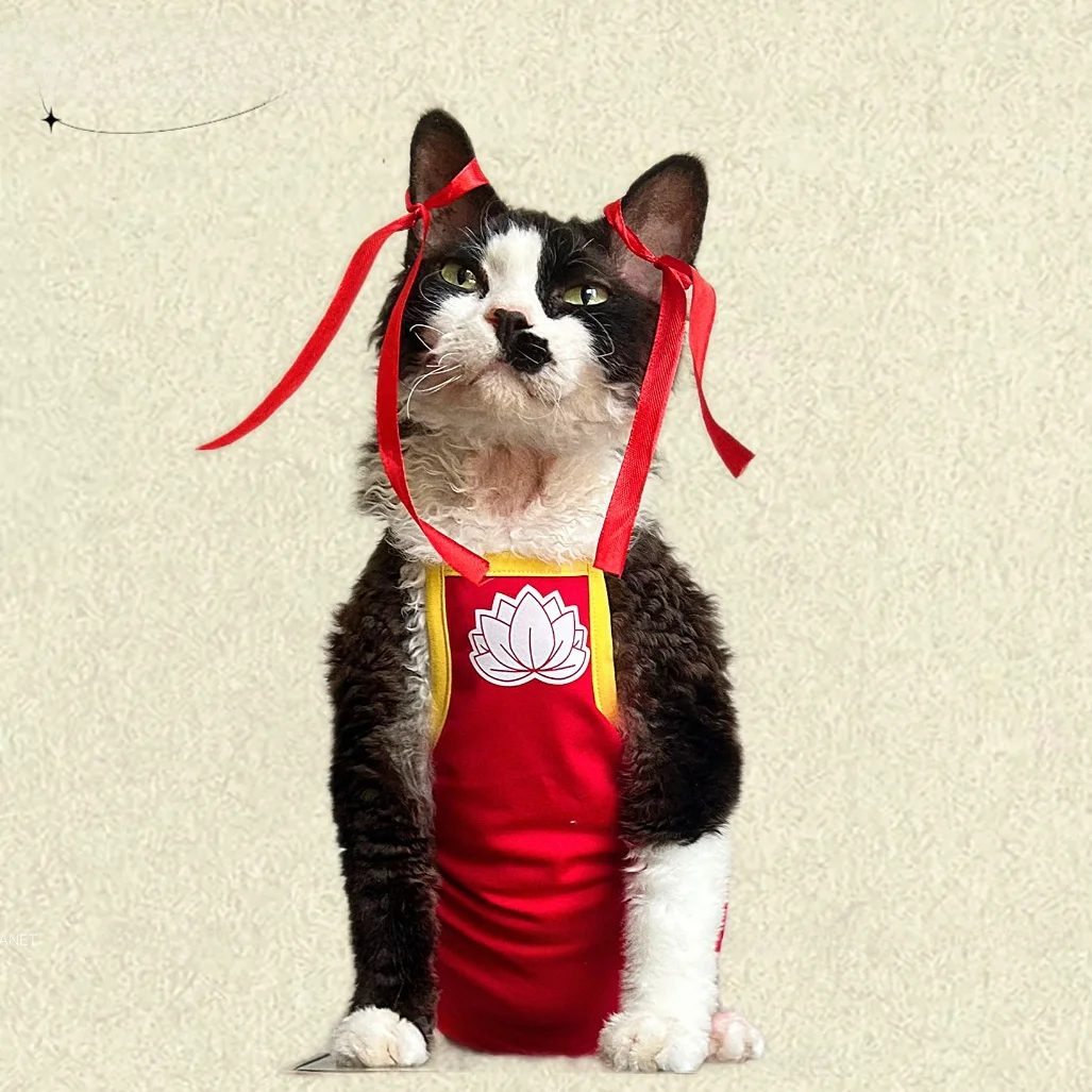 スフィンクス猫用夏秋用コットンキャミソール：ペット猫飼いやすいための軽量通気設計