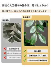大型の偽造植物 榆钱樹 榕樹 屋内 リビング 高級 フロア ポットの偽樹 装飾品 雰囲気のアイテム