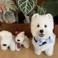 可愛い犬用よだれかけ【リボン付き・小型犬・猫用】