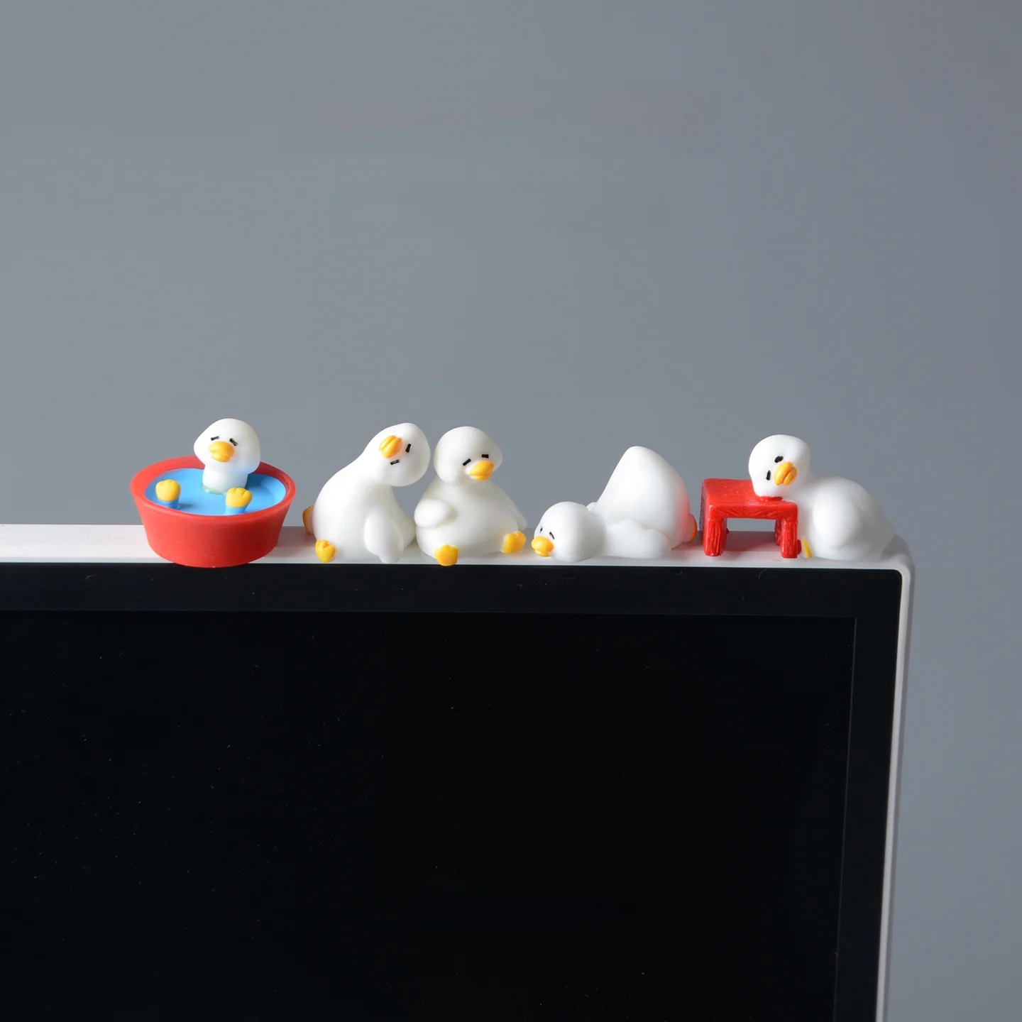 あひる 白鳥 とは？その特徴や生態、飼い方まで徹底解説！厳選3選