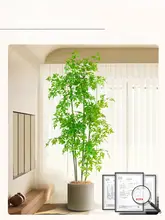 ナンテンチク テレビボード リビングルーム 鉢植え フェイクグリーン 高級 装飾品