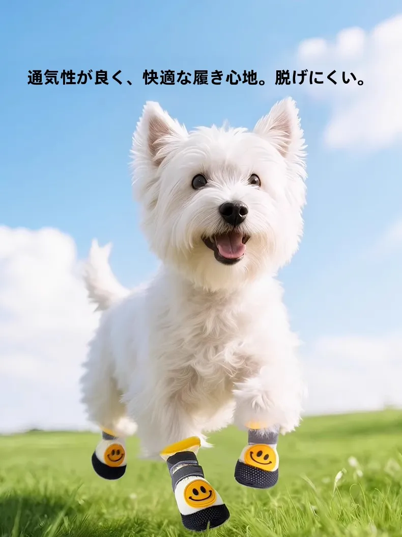 ペットと過ごすおうち時間を快適にするため、どんなシューズがおすすめ？