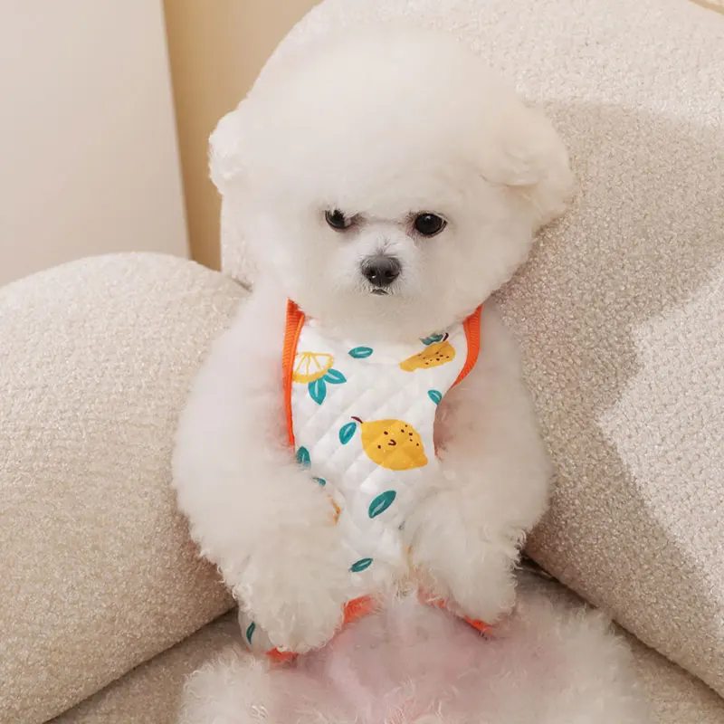 犬用夏服【薄手・お腹保護・室内・小型犬用】：夏季室内使用场景下的实用性能解析