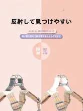 犬用ハーネス型リード【小型犬・テディ・ビション・ペット用品】