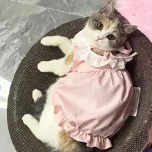 猫用チュニック風パンプキンスカート【春秋用・薄手・抜け毛防止・ペットウェア・青白】