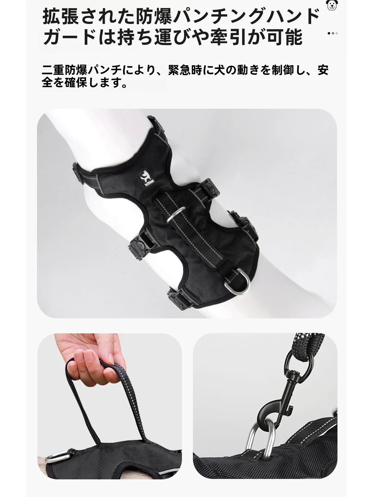 犬のお散歩グッズをコスパ良く揃える方法｜反射材質ハーネスの実測ガイド