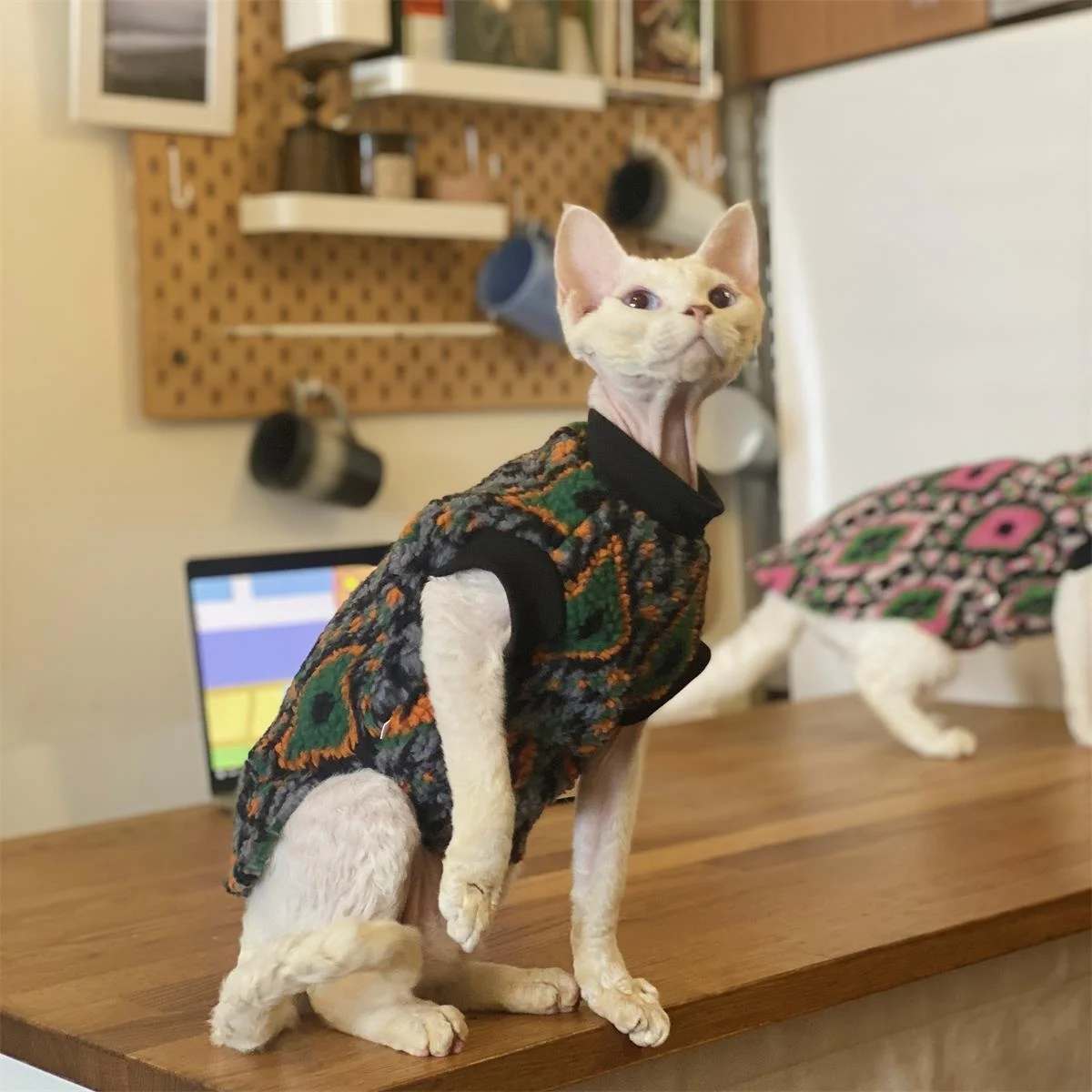 秋冬用 スフィンクス猫服：北欧風デザインの厚手羊毛フリースで寒さ対策