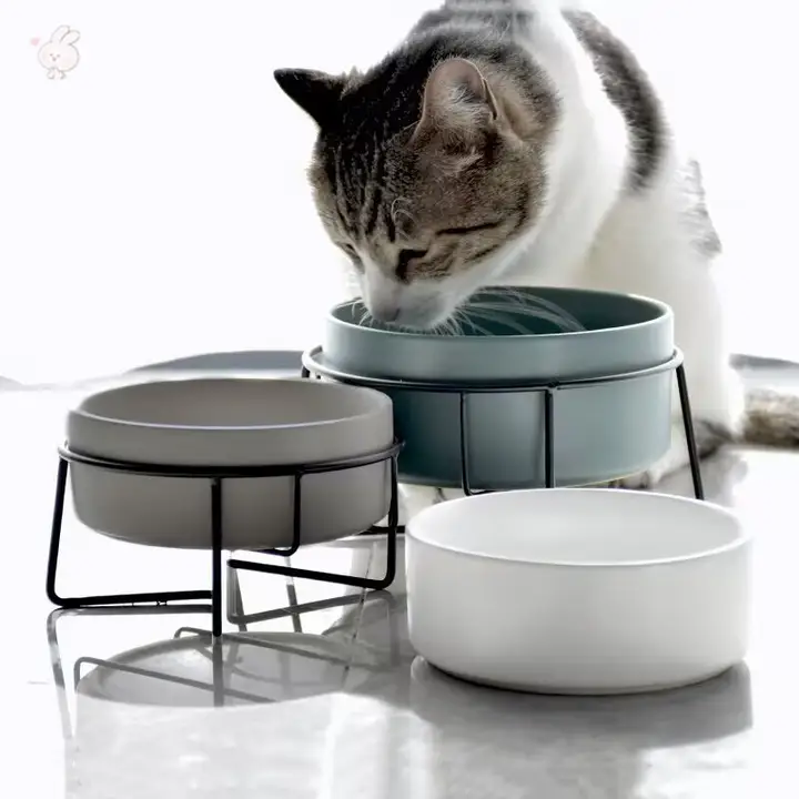 猫用陶器製フードボウル【大口径・加菲猫デザイン・犬猫兼用】