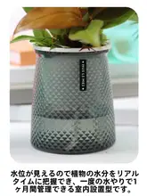 自吸水機能付きプラスチック鉢【多肉植物・おしゃれなデザイン・バルコニー用】