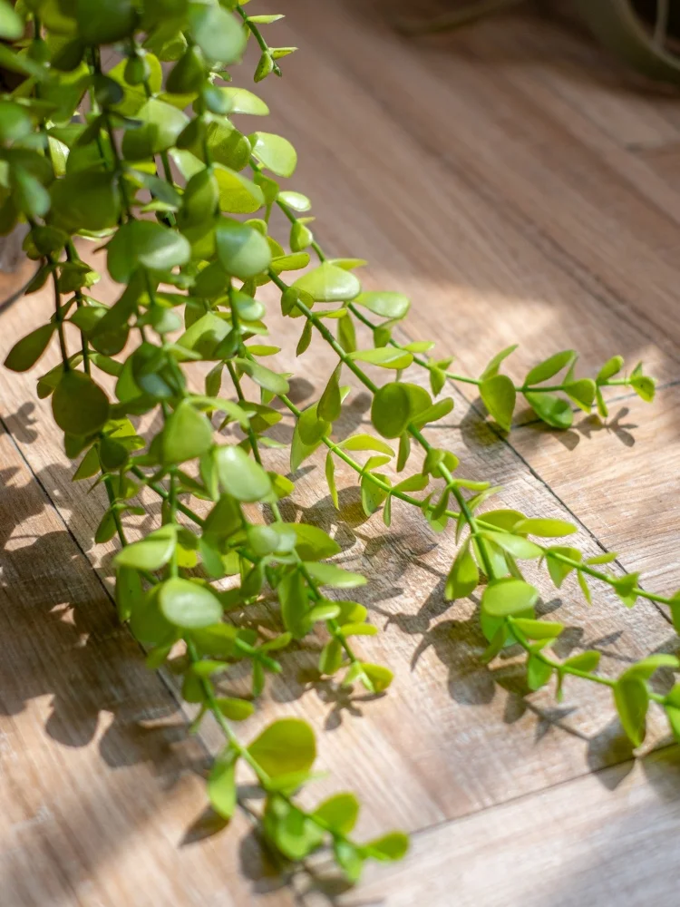 フェイクグリーンの吊り下げ植物を選ぶべき理由は？リアルと比べてどんな違いがあるの？
