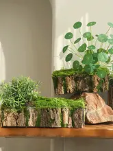 木製の苔付き花盆【DIY・ツリーストーン・インテリア装飾】