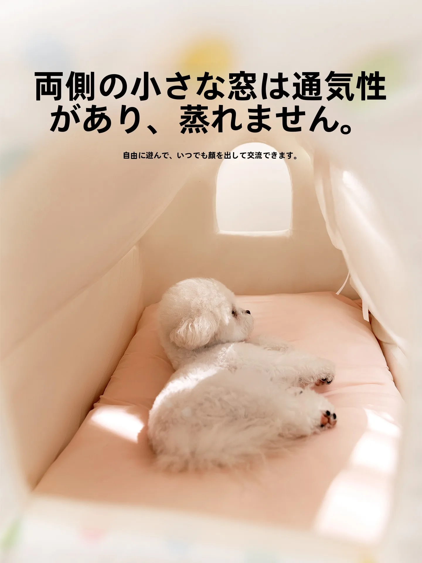 hipidog 2604LBFP7571：小型犬用半閉じ型テントハウスの四季通用性と実用性