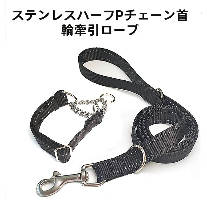 犬のお散歩グッズをコスパ良く揃える方法｜中大犬向けダブルDリングリード首輪の実用性徹底解説