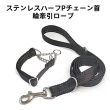 中大犬用 ダブルDリングリード付き首輪【トレーニング用・快適デザイン】