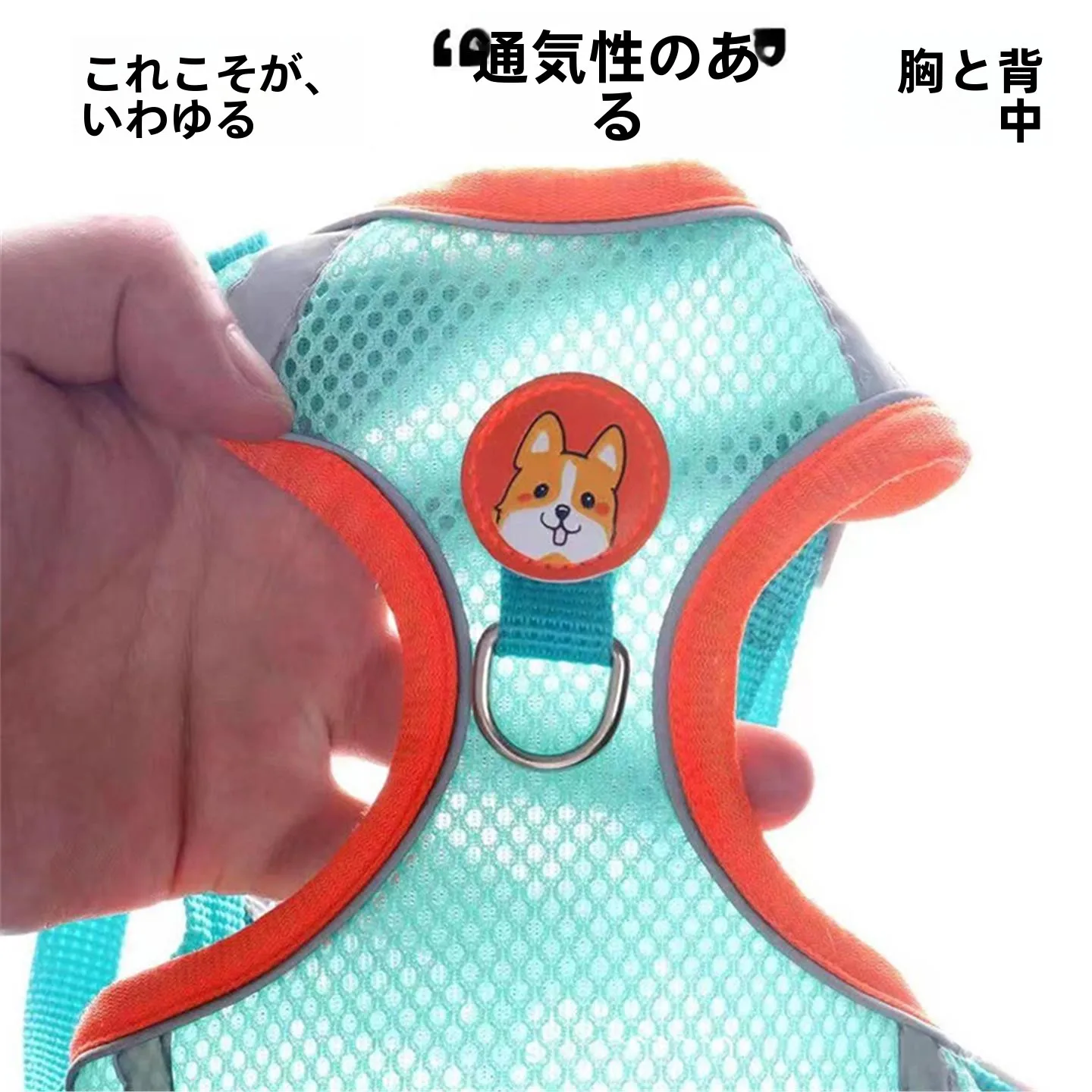 中型犬用ハーネスリード：ハーネスタイプの胸部サポート機能と通気性のバランス