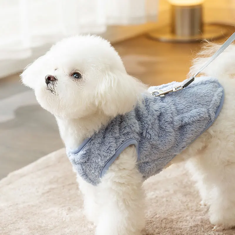 生後3ヶ月の犬に着せたら、まるで人間の冬物ベストみたいに見えるのはな ぜ？