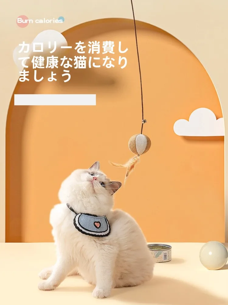 おうち時間を豊かにするおすすめアイテム | 猫の遊びがもたらす心のリラックス術