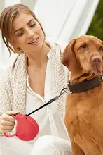 犬用リード 自動伸縮 チェーン ハンドル 小型犬 中型犬 大型犬用 ドイツブランド「Flexi」