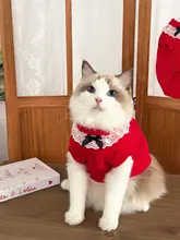 ロリータ風猫ニットセーター【秋冬用・レース付き・赤・暖かさ・お祝い用】（セットアップ対応）