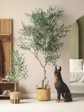 フェイクオリーブの木 インテリア 飾り 大型植物 グリーンプラント