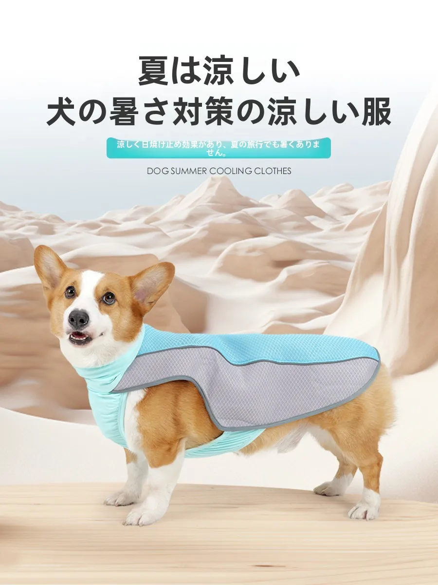 犬のお散歩グッズをコスパ良く揃える方法　完全ガイド