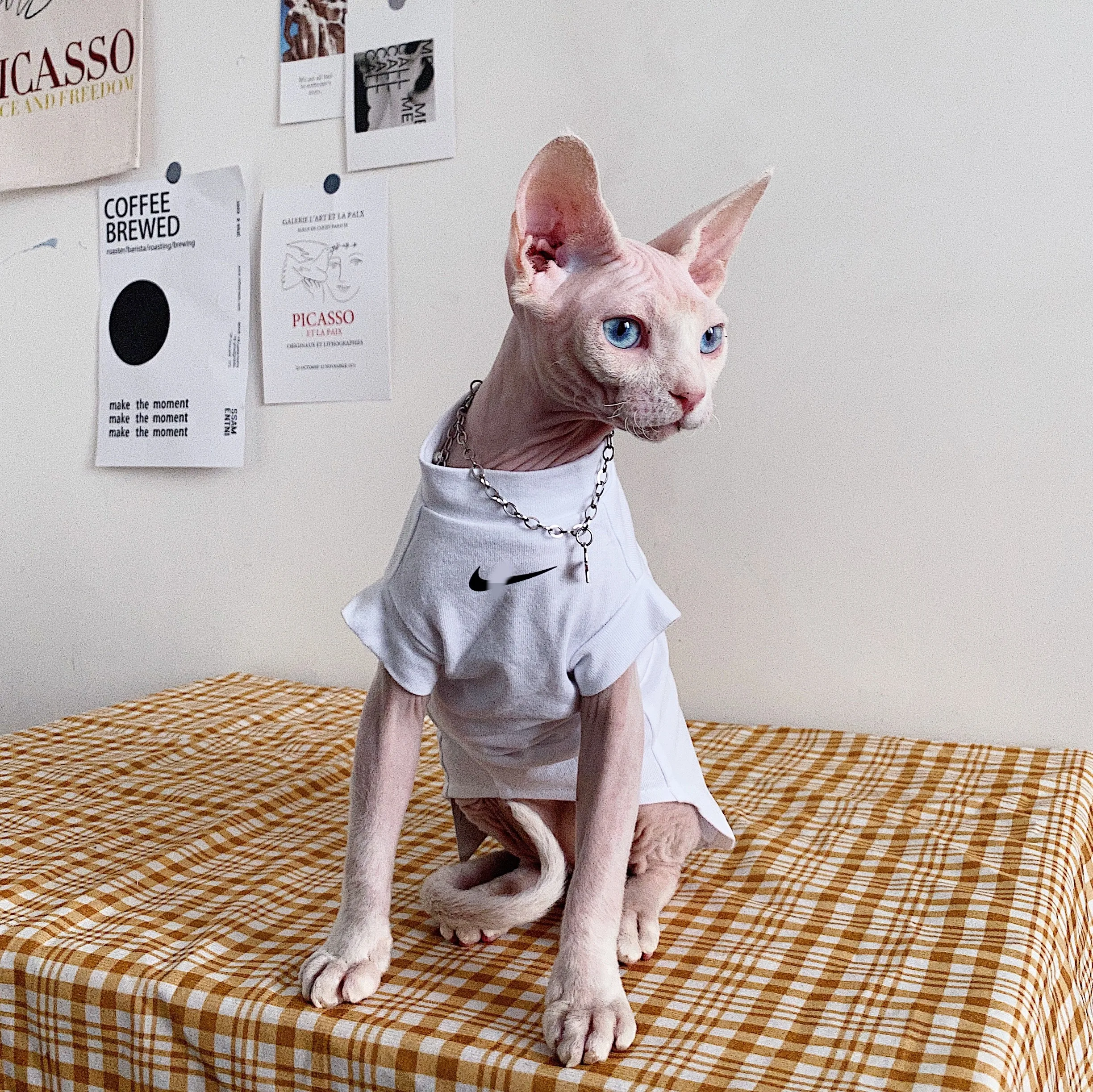 無毛猫用Tシャツ：一人暮らしに最適なカジュアルスタイルの選択肢