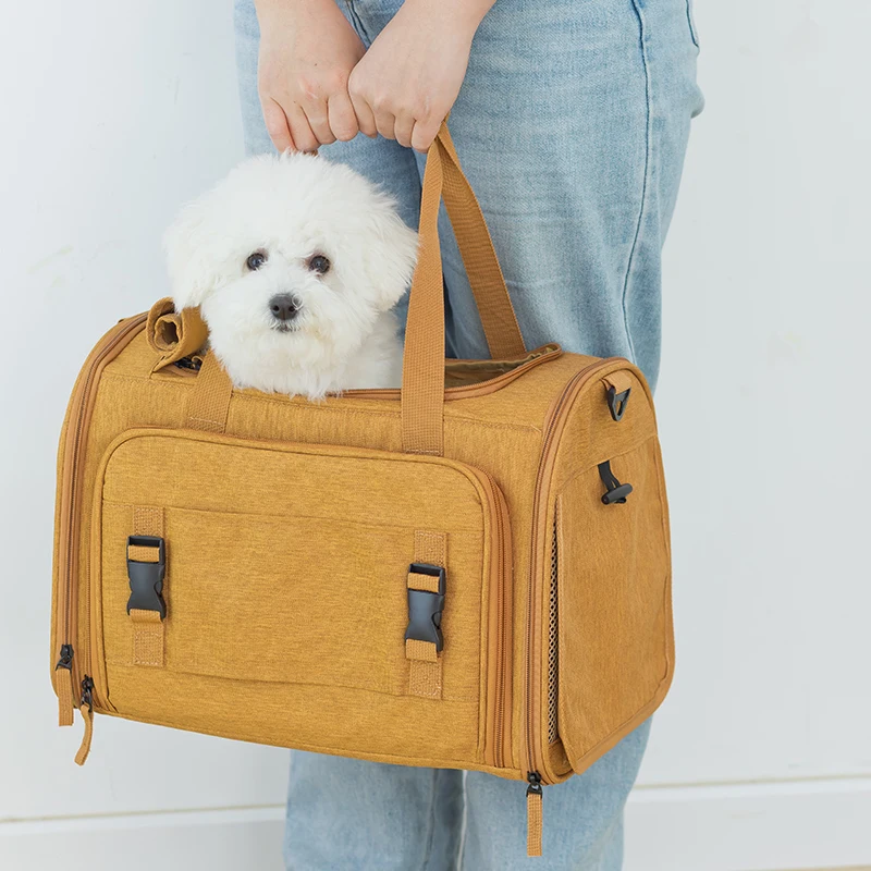 ペット用リュックサック：軽量で通気性の高い犬用セットの実用性と使い方