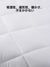 布団 防ダニ 春秋冬用 加厚 保温 シングル ダブル用