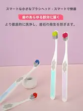成人用小頭部ハード毛歯ブラシ【家庭用・優れた清掃力・耐久性】