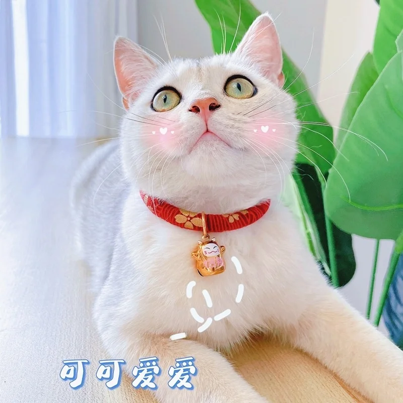かわいい猫鈴付き和風首輪：調整可能なサイズとデザインの実用性を解説