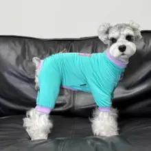 UPF50+ 冷感素材の小型犬用夏服【シュナウザー・テディ・ポメラニアン対応・通気性・四脚デザイン】