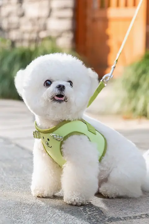 中小型犬用 ハーネス型リード【テディ・ビション・コーギー用・ペット用品】