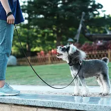 犬用リード 中型犬用 外出用リード