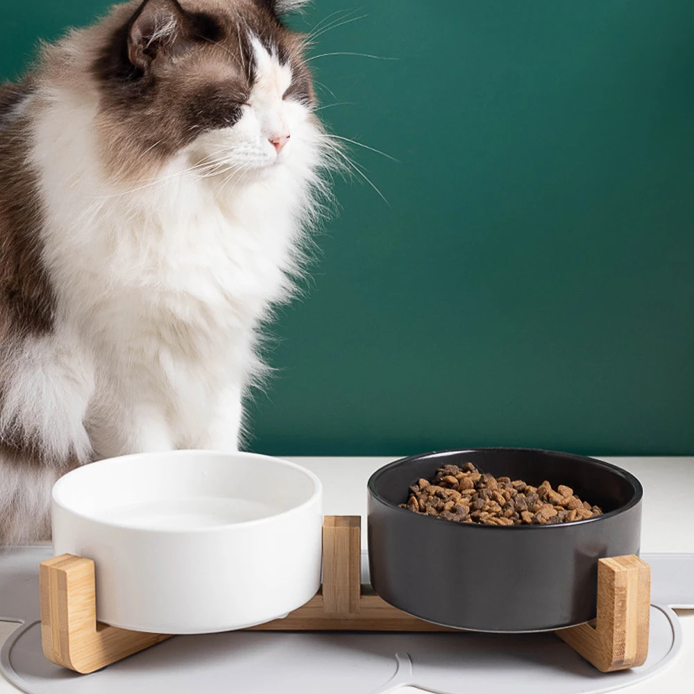 猫を飼う前に買っておくべきフードボウルは？実際の使い心地と選び方を正直に語る