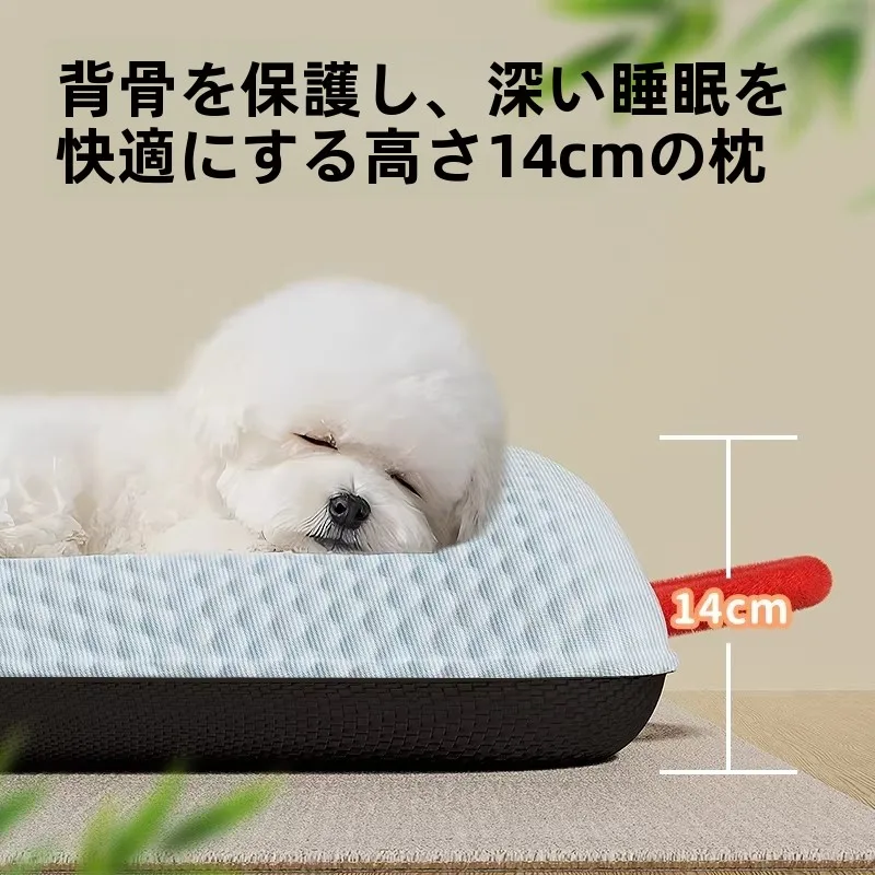 夏用小型犬用クールドッグベッド：通気性と洗濯可能が実用性を支える