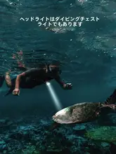 強力充電式ダイビングヘッドランプ【防水・黄白二色光対応・夜間潜水用】