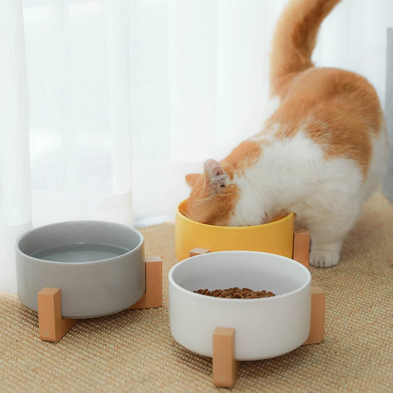 猫飼いが買ってよかったもの・悪かったもの正直に言う｜陶器食器セットの実際の使い心地徹底解説
