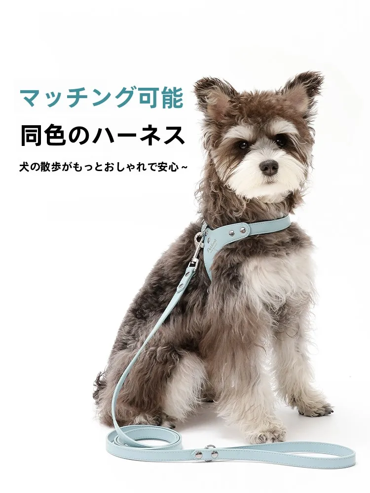 犬のお散歩グッズをコスパ良く揃える方法｜柔らかいレザーの実用性徹底解説