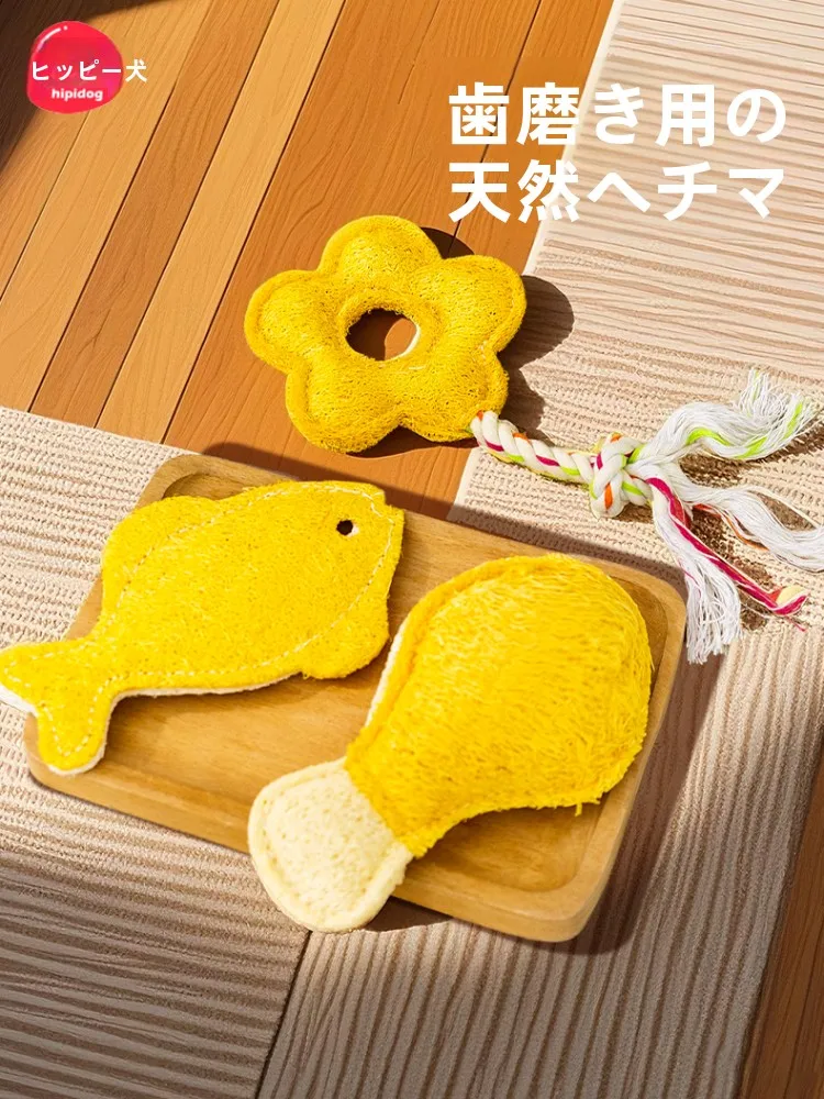 猫  ケージに遊びをさせるおもちゃとは？実は「歯磨き・解消・猫じゃらし」が最強の選択肢