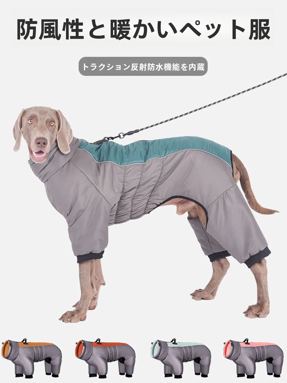 犬のお散歩グッズをコスパ良く揃える方法　徹底解説・選び方のポイント