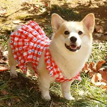 春夏用の薄手ドッグドレス【柴犬・コーギー・ビションフリーゼ・防虫・日焼け防止】