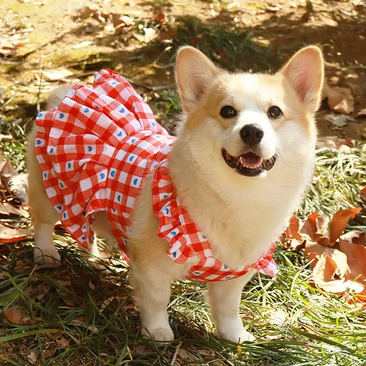 春夏用の薄手ドッグドレス【柴犬・コーギー・ビションフリーゼ・防虫・日焼け防止】