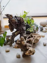 天然木の根を使ったアートデコレーション【禅風・ミニチュア景観作り】