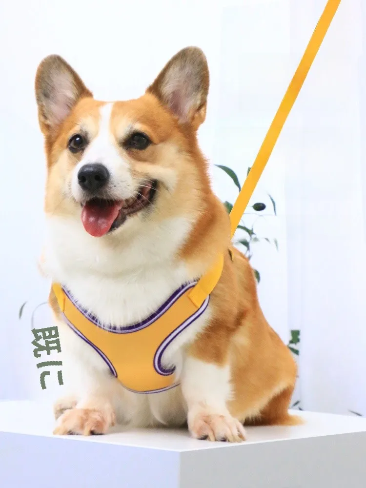 小型・中型犬用胸部ハーネス：アウトドア散歩に最適な通気性とフィット感